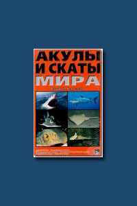 Акулы и скаты мира