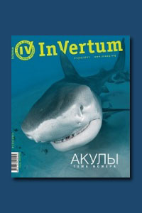 Журнал InVertum №1 2011